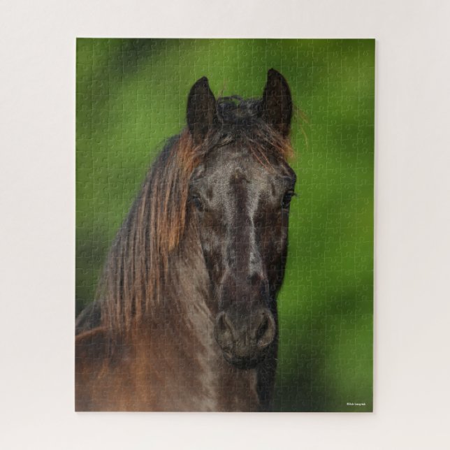Bob Langrish | Friesian Horse Headshot (Vertikal)