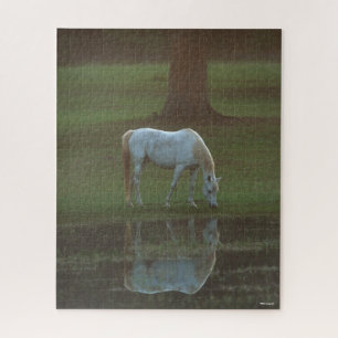 Bob Langrish   Grau-Arabische Grazing Water Reflec