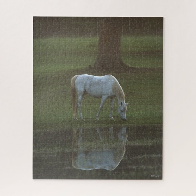 Bob Langrish | Grau-Arabische Grazing Water Reflec (Vertikal)