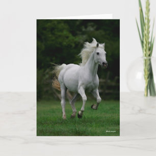 Bob Langrish Graue arabische Running Mane Flows Karte