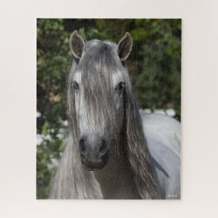 Bob Langrish Grauer andalusischer Stallion-Heads