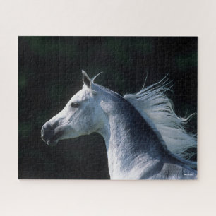 Bob Langrish Grauer arabischer Headshot 3