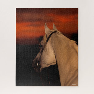 Bob Langrish   Grauer arabischer Headshot bei Suns