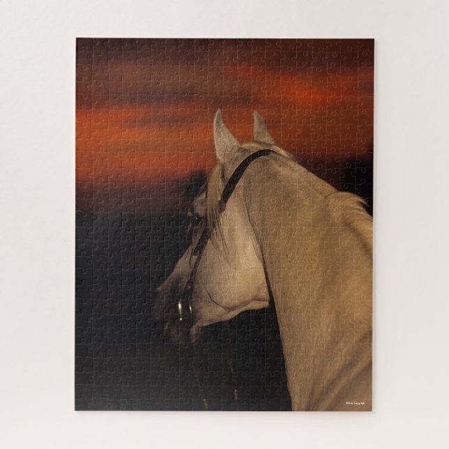 Bob Langrish | Grauer arabischer Headshot bei Suns (Vertikal)