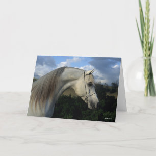 Bob Langrish Grauer arabischer Stallion-Headshot Karte