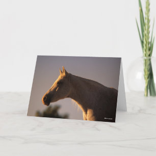 Bob Langrish Grauer Stehender Backlit Headshot Karte