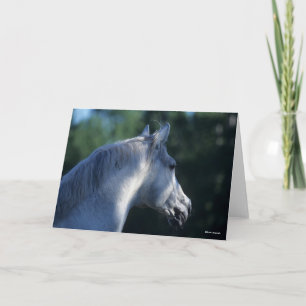 Bob Langrish Grauer Trakehner-Stallion-Headshot Karte