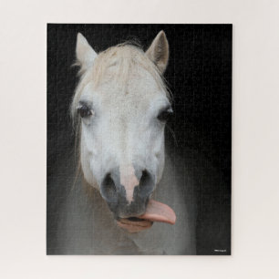 Bob Langrish Grauer Welsh Pony Tongue Out Headsh