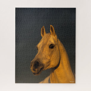 Bob Langrish   Graues arabisches Headshot in Sunse