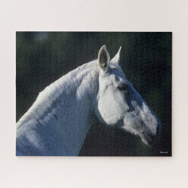Bob Langrish | Graues Warmblut Stehender Headshot (Horizontal)