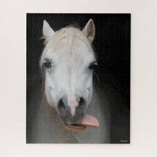 Bob Langrish Grauwalisischer Pony mit Zunge raus