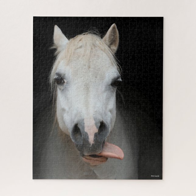 Bob Langrish | Grauwalisischer Pony mit Zunge raus (Vertikal)