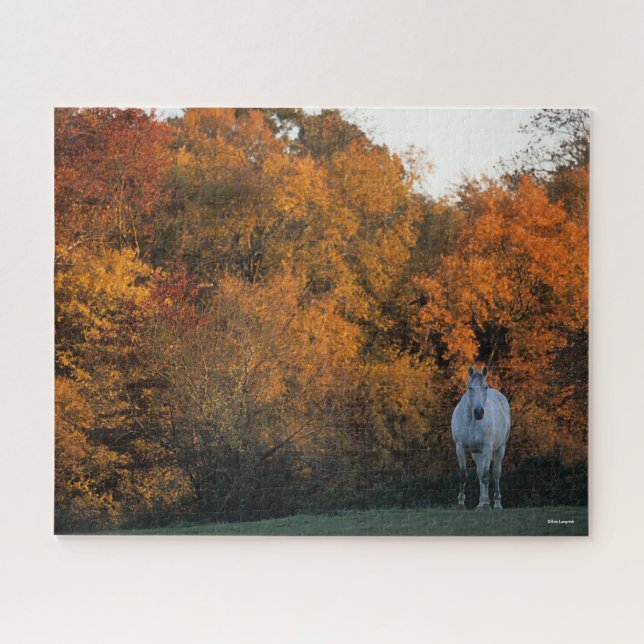 Bob Langrish Gray Warmblut Pferd Stehend Herbst (Horizontal)