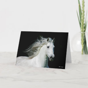 Bob Langrish Grey Andalucian Stallion Headshot Karte