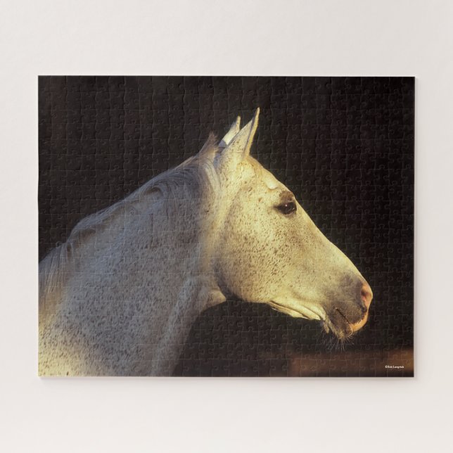 Bob Langrish | Grey Thoroughbred Stallion Headshot (Horizontal)