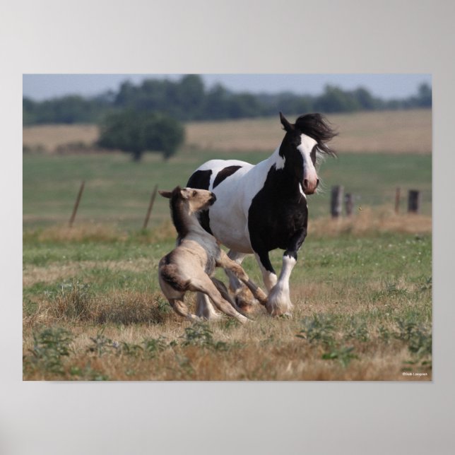 Bob Langrish | Gypsy Vanner Mare and Foal Poster (Vorne)