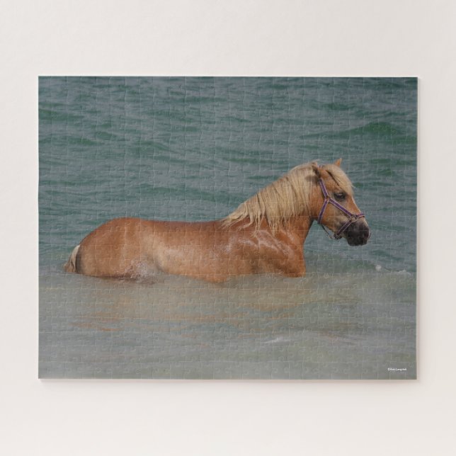Bob Langrish | Haflinger Pferd schwimmen im Meer (Horizontal)