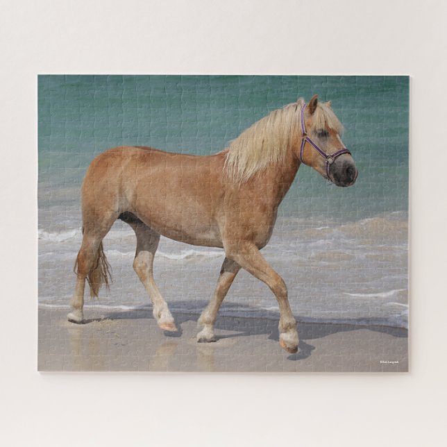 Bob Langrish | Haflinger Walking am Strand (Horizontal)
