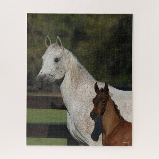Bob Langrish | Headshot "Arab Mare and Foath" (Vertikal)