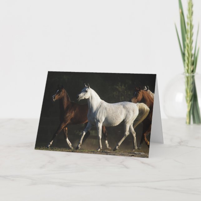 Bob Langrish | Herd Arab Mares Walking Karte (Vorderseite)