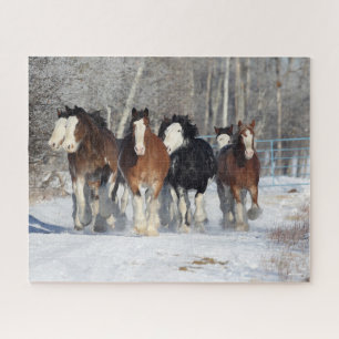 Bob Langrish Herde von Clydesdales im Schnee