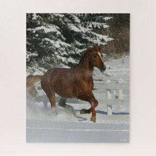 Bob Langrish Kastanienpferd im Schnee