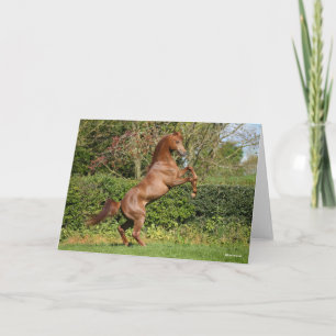 Bob Langrish   Kastanienzucht Karte