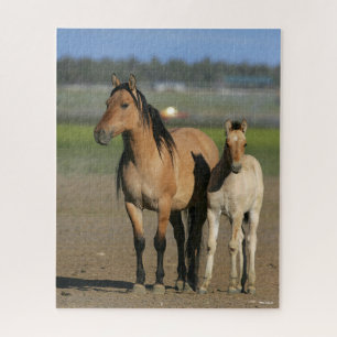 Bob Langrish Kiger Mustang Mare und Foal Stehend