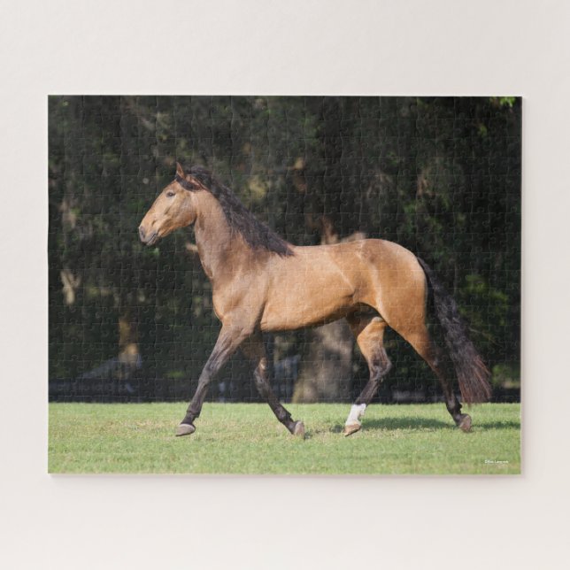 Bob Langrish | Light Bay Lusitano Running (Horizontal)