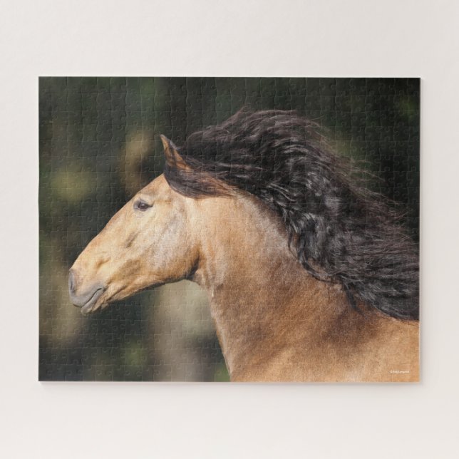 Bob Langrish | Lusitano Headshot Mane Flows (Horizontal)