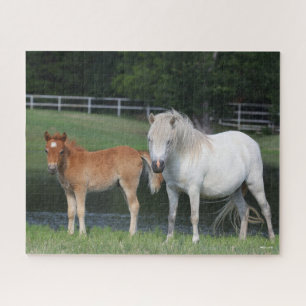 Bob Langrish Miniature Pony Mare und Foal Stehend