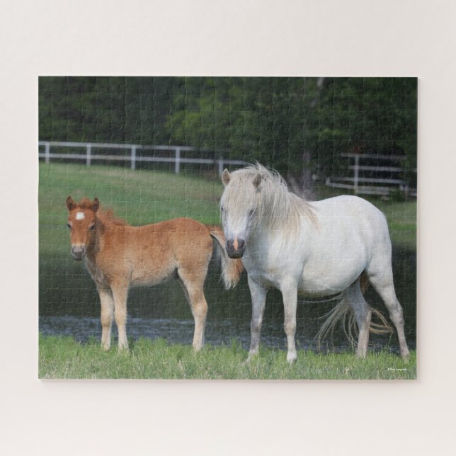 Bob Langrish Miniature Pony Mare und Foal Stehend (Horizontal)