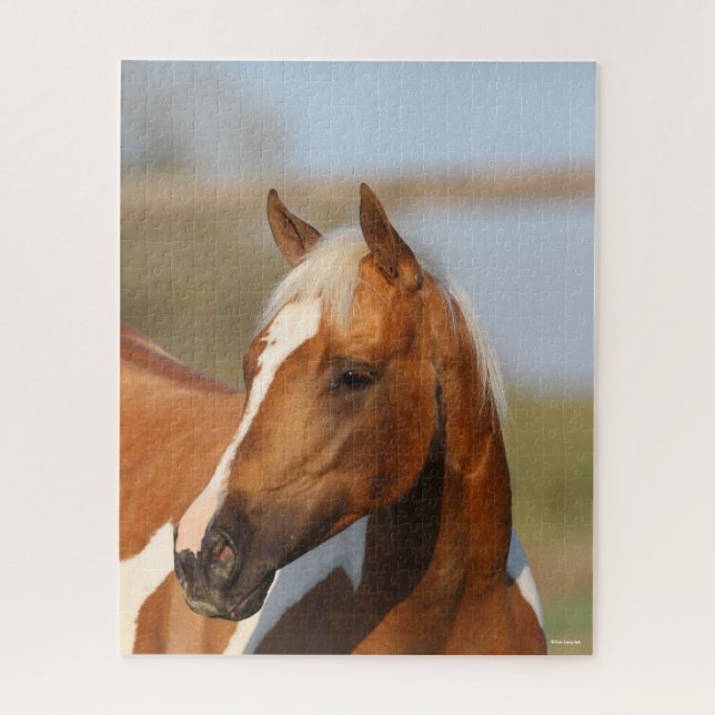 Bob Langrish | Paint Horse Headshot (Vertikal)