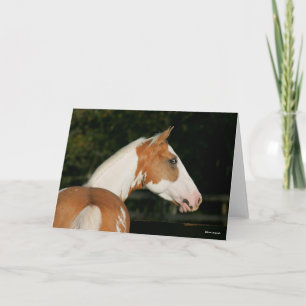 Bob Langrish Paint Horse Headshot Karte