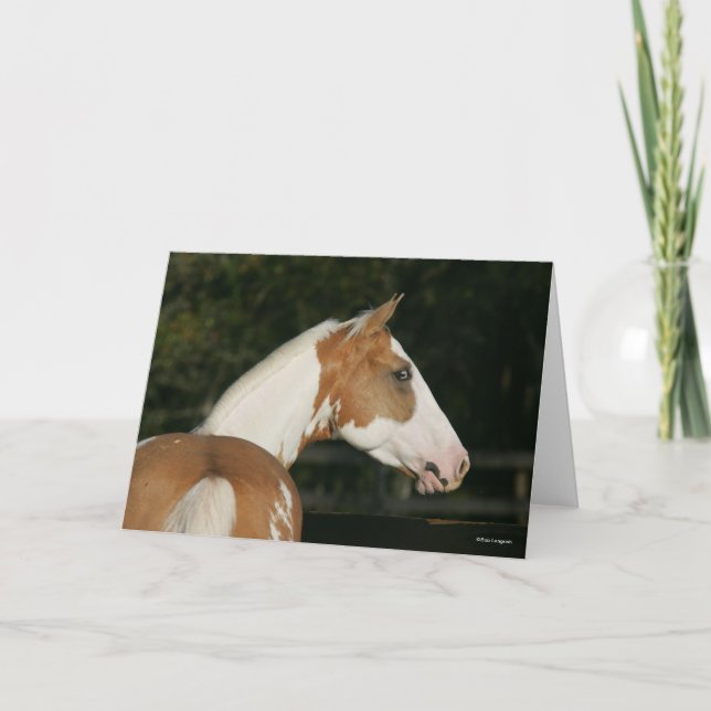 Bob Langrish | Paint Horse Headshot Karte (Vorderseite)