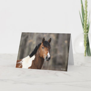 Bob Langrish Paint Horse Headshot Karte