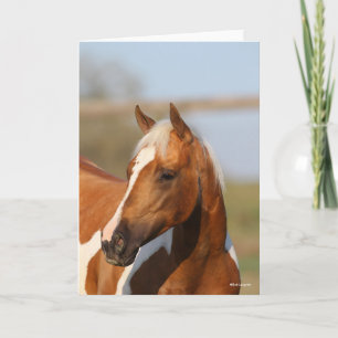 Bob Langrish   Paint Horse Headshot Karte