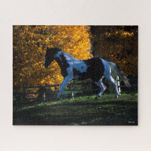 Bob Langrish Paint Horse Running Herbst