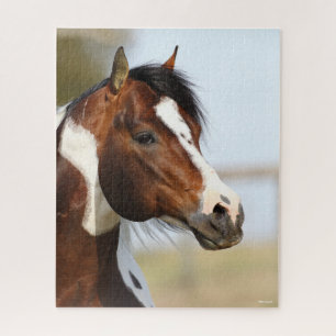 Bob Langrish Paint Horse Stallion Headshot
