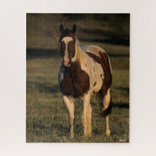 Bob Langrish   Paint Horse Stehend