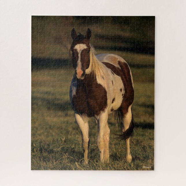 Bob Langrish | Paint Horse Stehend (Vertikal)