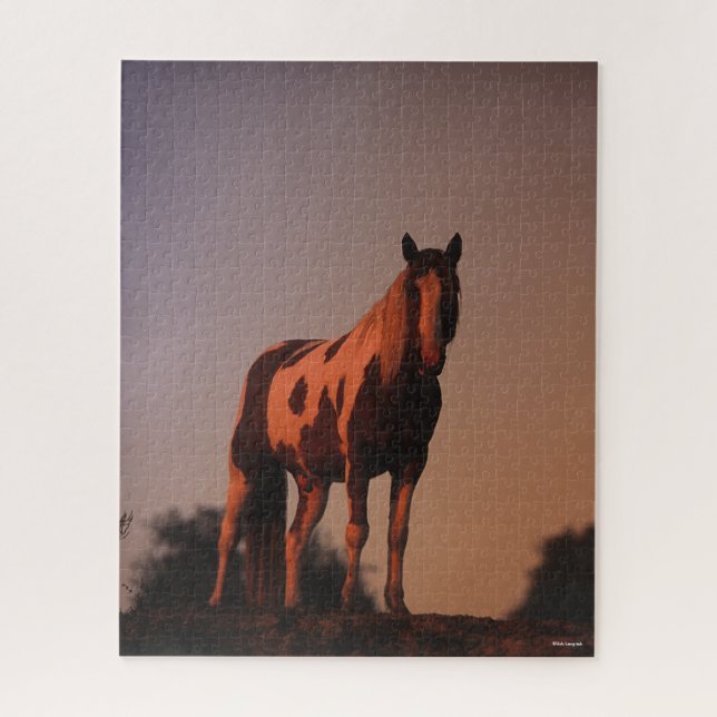 Bob Langrish | Paint Horse Stehend bei Sonnenunter (Vertikal)