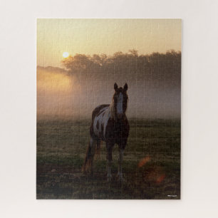 Bob Langrish Paint Horse Stehend Mist Sunrise