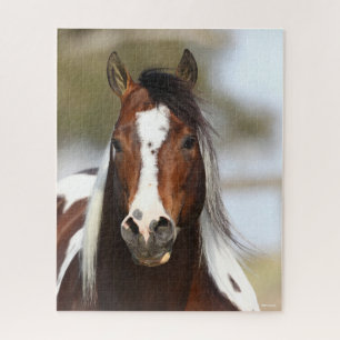 Bob Langrish Paint Stallion Headshot