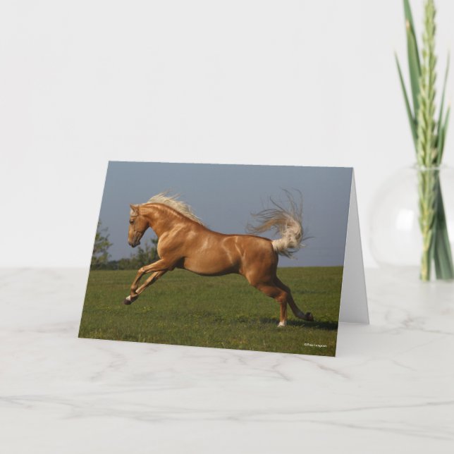 Bob Langrish | Palomino Lusitano Stallion Leaping Karte (Vorderseite)