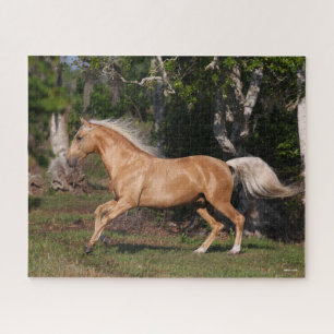Bob Langrish Palomino Lusitano Stallion Running