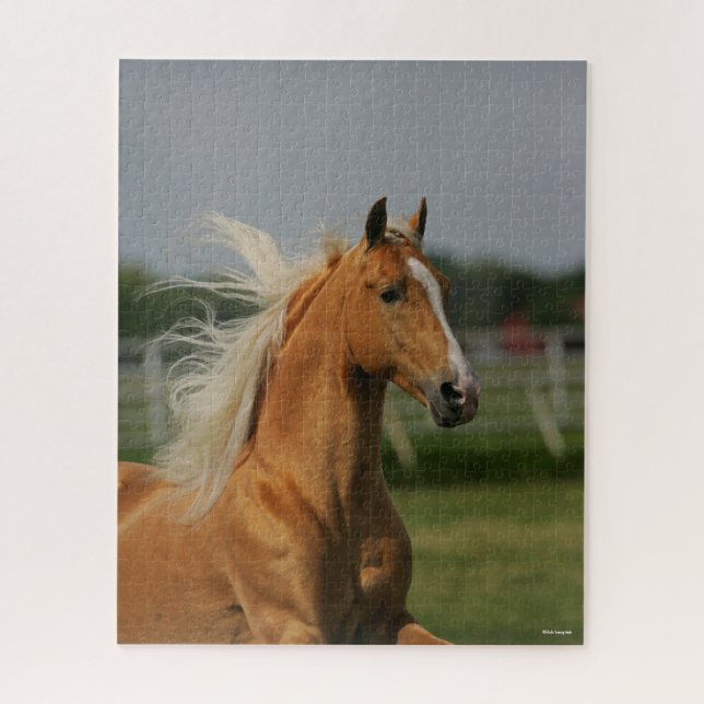 Bob Langrish | Palomino Tennesee Walker Headshot (Vertikal)