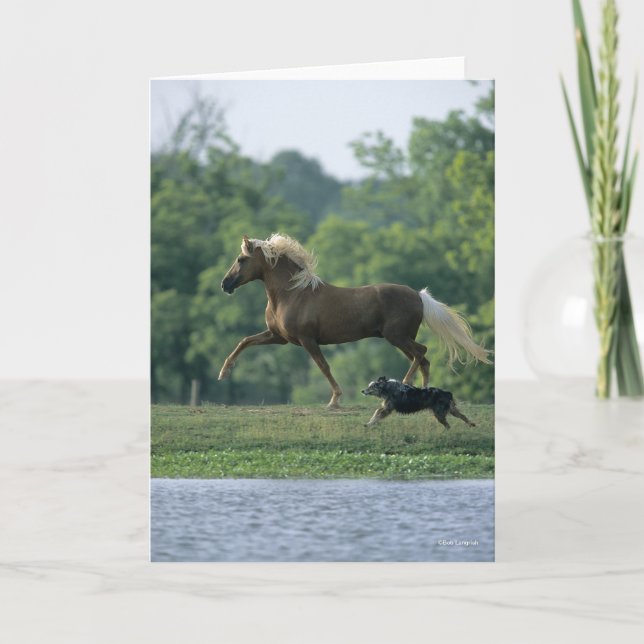Bob Langrish | Palomino Tennessee Walker and Dog Karte (Vorderseite)
