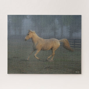 Bob Langrish Palomino Tennessee Walker in Mist