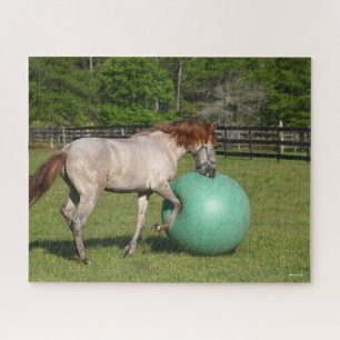 Bob Langrish Paso Fino Pferd mit Ball spielen